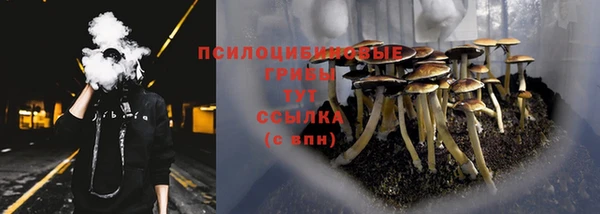 соль курить ск Ростов