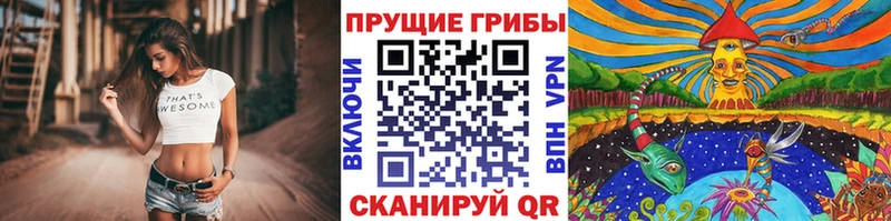 закладки  Мглин  Галлюциногенные грибы мицелий 